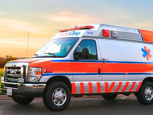 who voiced james in pokemon