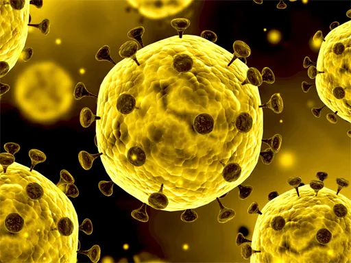 how to evolve eevee in pokemon quest