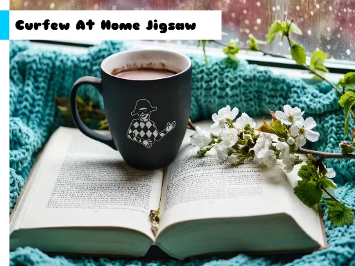 what happened to fairy type pokemon