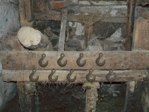 Unova starters available for the first time with hidden abilities