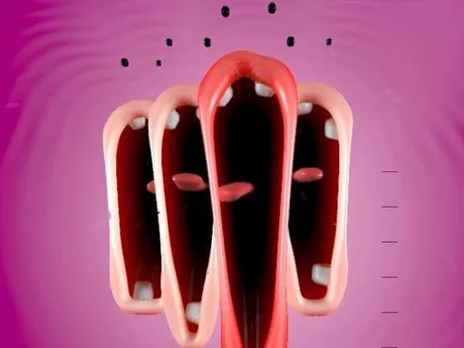 a legendary bird pokémon