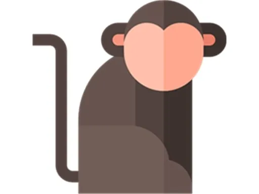 a legendary bird pokémon