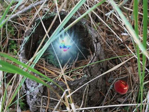 what happened to fairy type pokemon