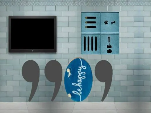 who voiced james in pokemon