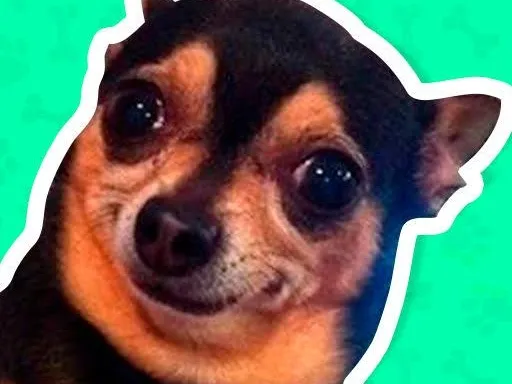 what is fire pokemon weak against